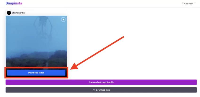Instagram video downloader on the Snapinsta website