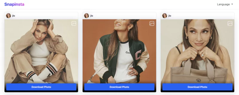 media downloadable in one click without difficulty with SnapInsta