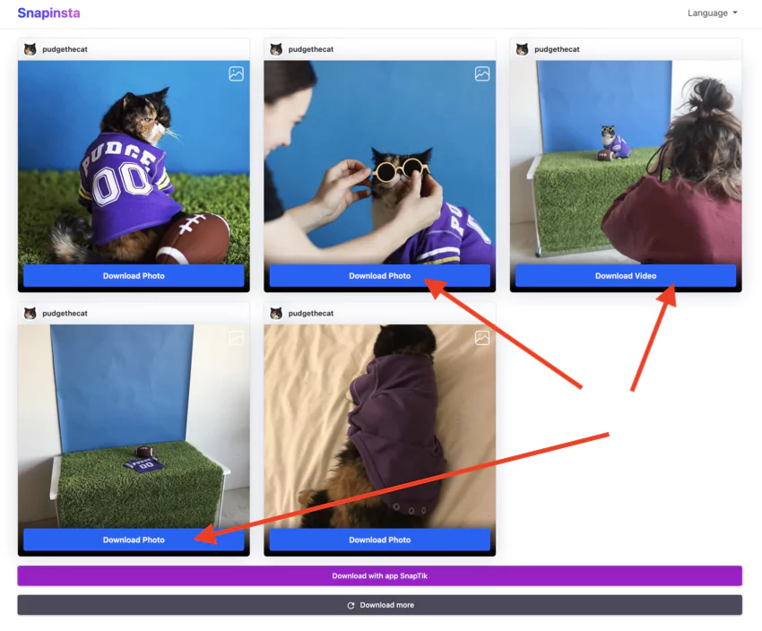 Using the Instagram stories downloader (all rights reserved)