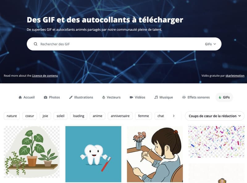 Diversity of Pixabay Content 3