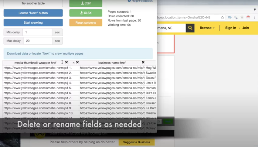 custom field deletion in this yellow pages website example
