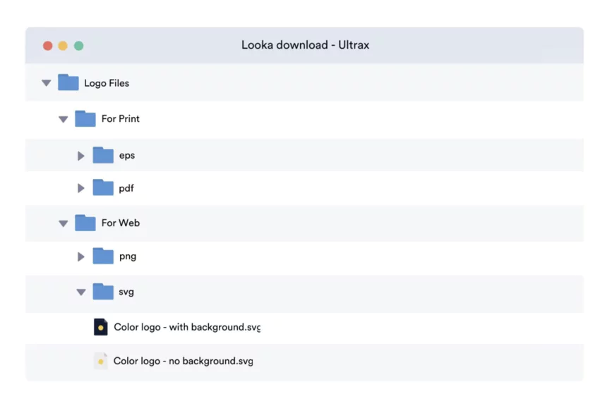 Different Looka file formats and brand guides available