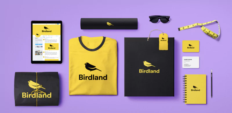 Wide range of Looka branding tools