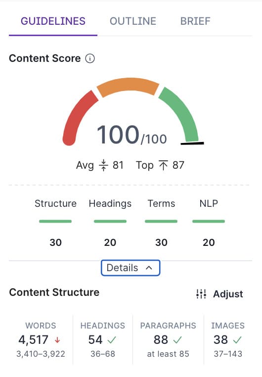 review on surfer seo