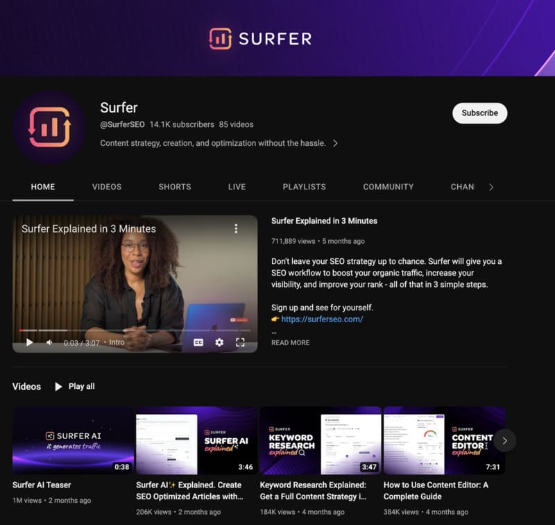 surfer seo video courses