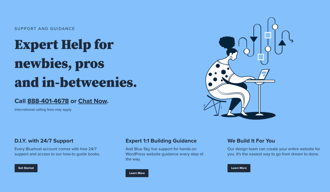 avis bluehost Support nom de domaine