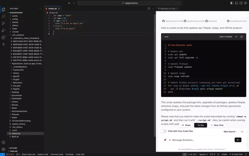 Exemple de documentation générée automatiquement par Blackbox AI