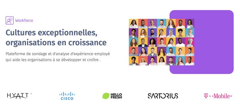 avis sur questionpro - étude de marché