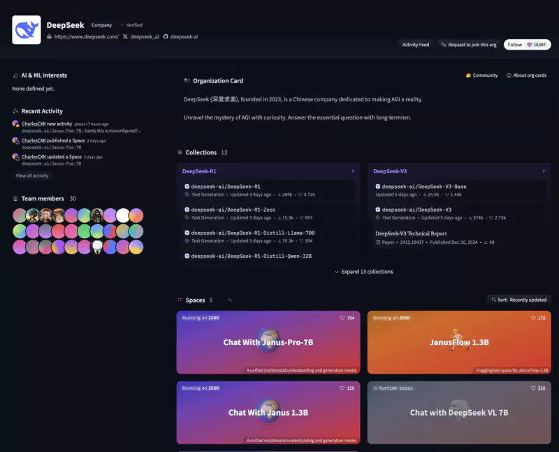 Développez vos projets sans contraintes avec Janus Pro