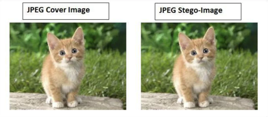 Différentes méthodes de dissimulation des données