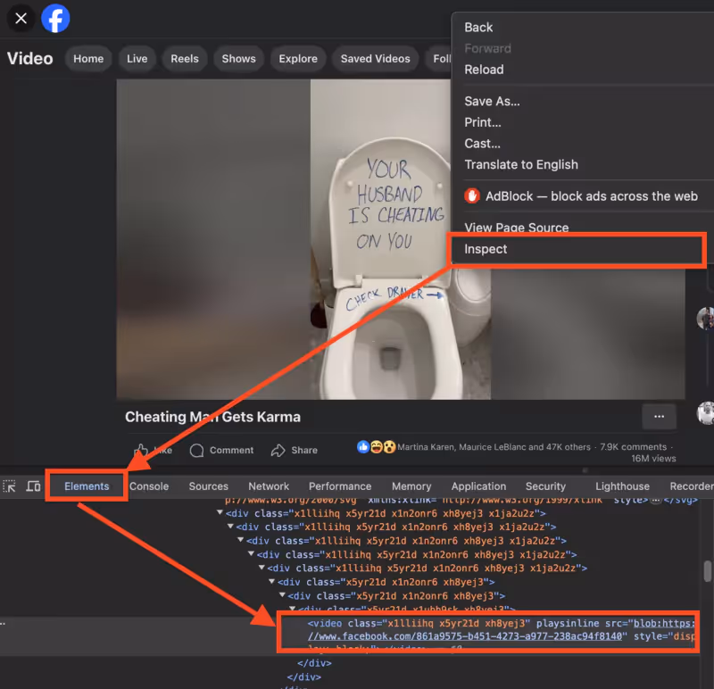 integrated video downloader