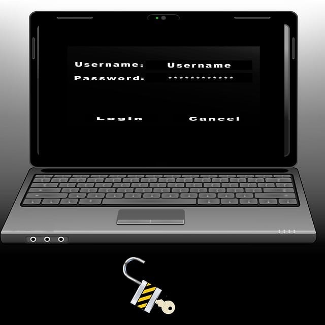 pc, security, password