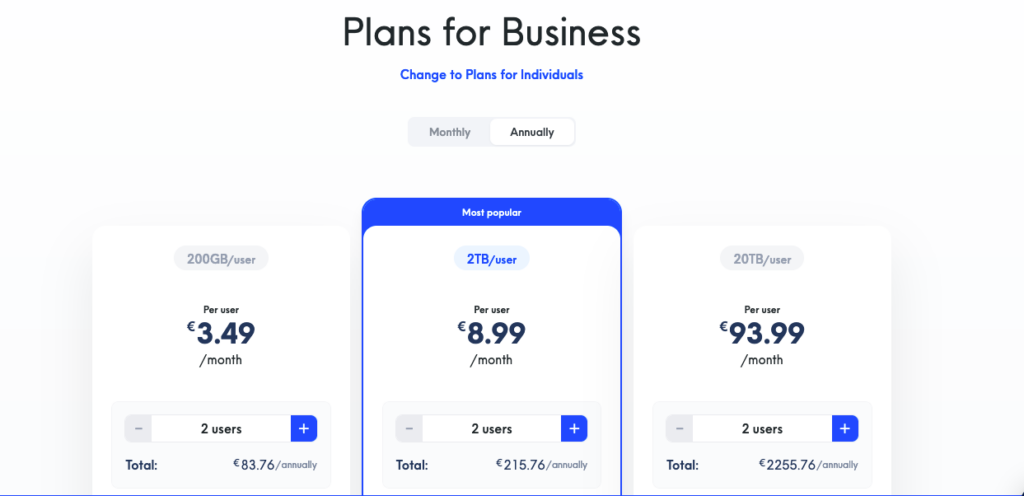 internxt business pricing