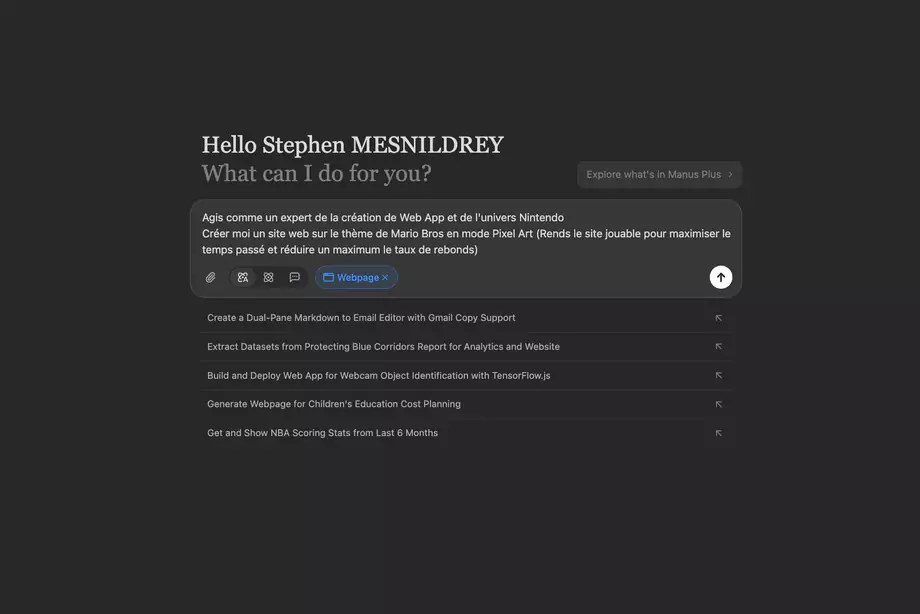 exemple de prompt dans l'interface de rédaction de manus