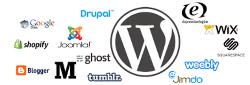 Compatibilité de Setka editor avec les CMS