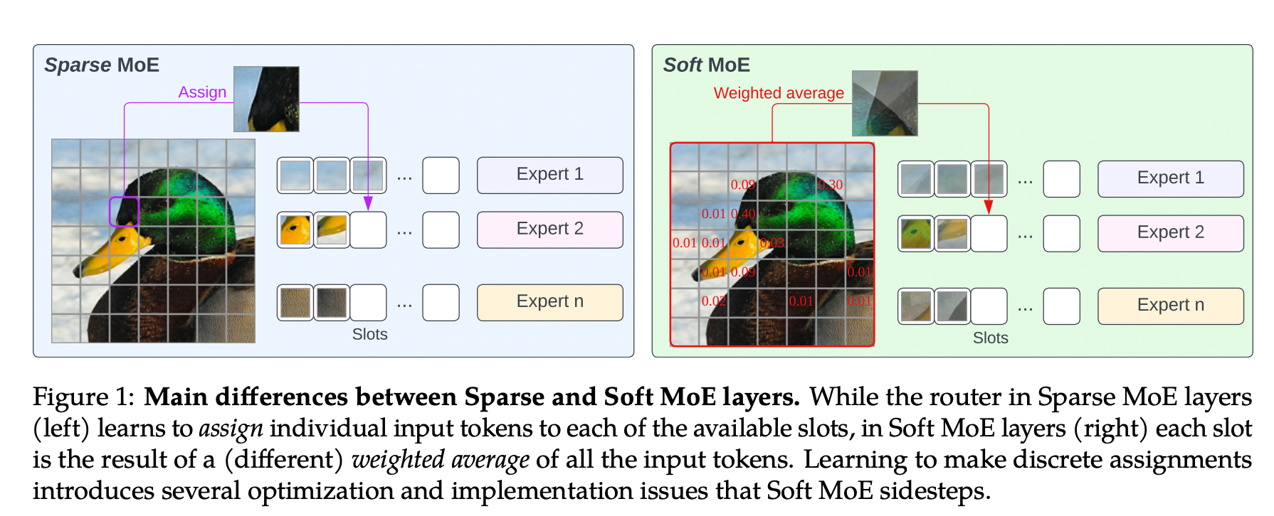 spare MOE vS Soft MOE