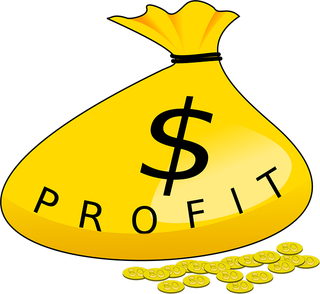 money, bag, profit, gold, coins, wealth, investment, revenue, dollars, finance, income, cash, rich, abundance, money, money, profit, profit, profit, profit, profit