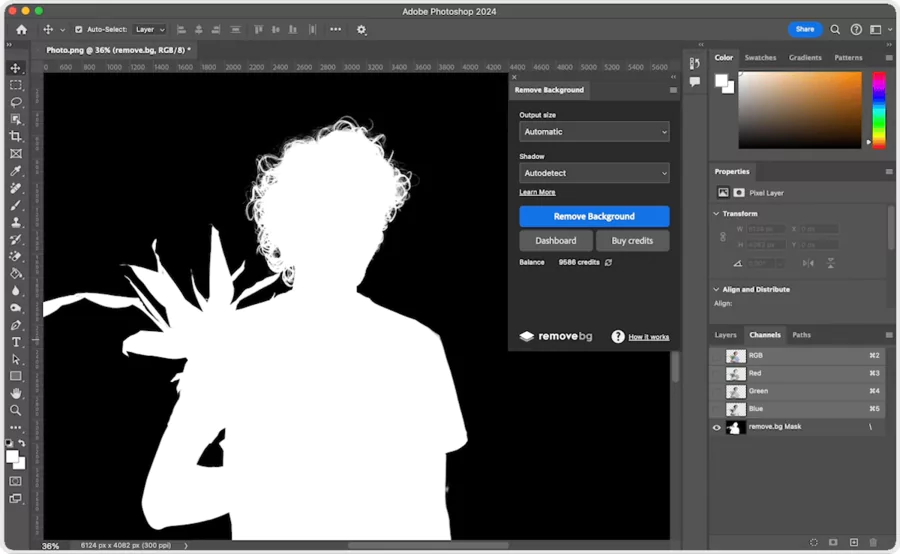 dernière étape pour détourer une image
