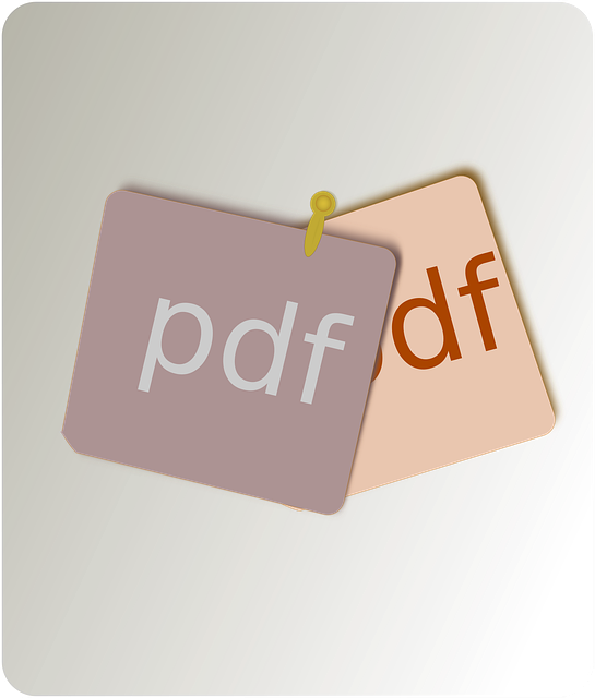 pdf, file type, document, file, mime type, computer, note, pdf, pdf, pdf, pdf, pdf