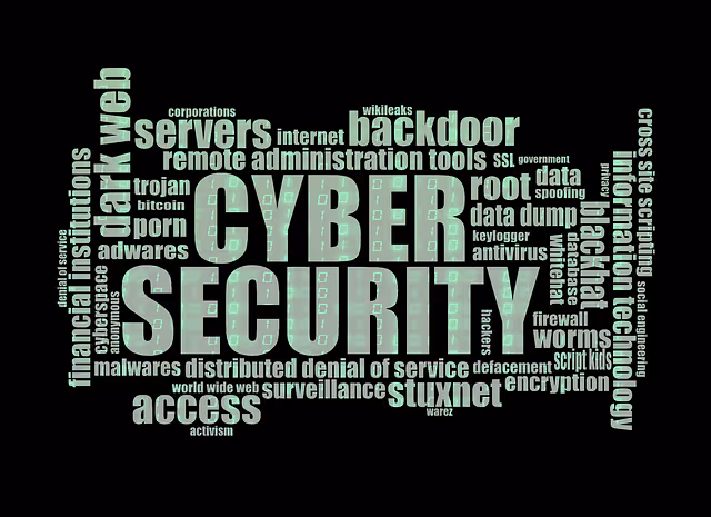 cyber security, internet security, computer security, internet, cyber, security, network, technology, computer, secure, protection, data, protect, privacy, online, encryption, digital, hacker, hacking, safety, web, black computer, black technology, black laptop, black data, black online, black network, black internet, black digital, black security, black web, black safety, cyber security, cyber security, cyber security, cyber security, cyber security, cyber, security, hacker