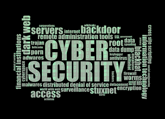 cyber security, internet security, computer security, internet, cyber, security, network, technology, computer, secure, protection, data, protect, privacy, online, encryption, digital, hacker, hacking, safety, web, black computer, black technology, black laptop, black data, black online, black network, black internet, black digital, black security, black web, black safety, cyber security, cyber security, cyber security, cyber security, cyber, security, hacker