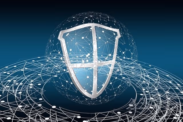 security, professional, secret, security service, technology, privacy policy, protect, computer, password, trojan, protection, data theft, hacker, data, cyber, code, internet, network, hack, web, virus scanner, transformation, digitization, security, security, security, security, security, protect, hacker, hacker, cyber, cyber