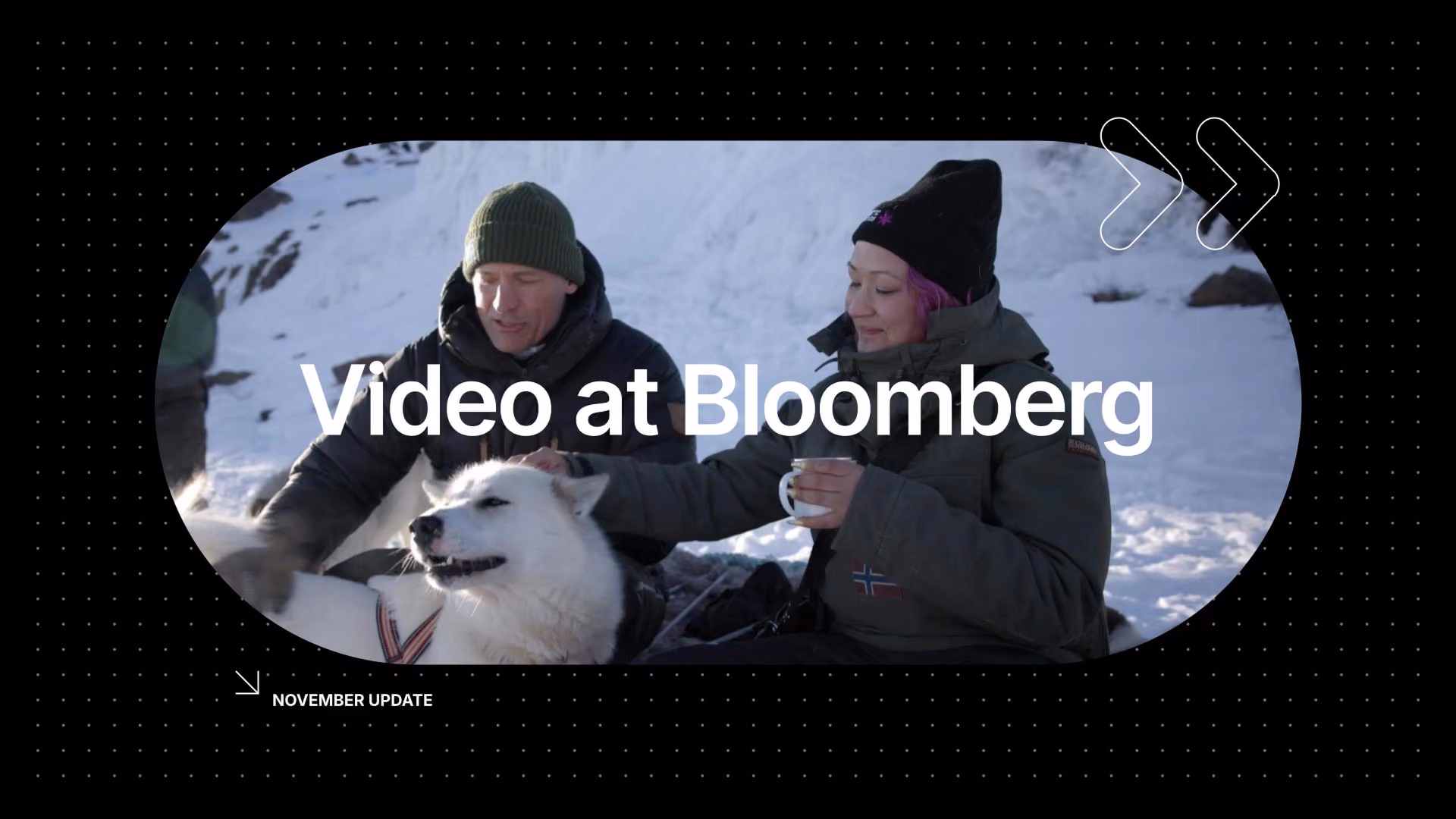 White text reads "Video at Bloomberg" and "NOVEMBER UPDATE" against a screenshot of a video of a man, woman, and dog.