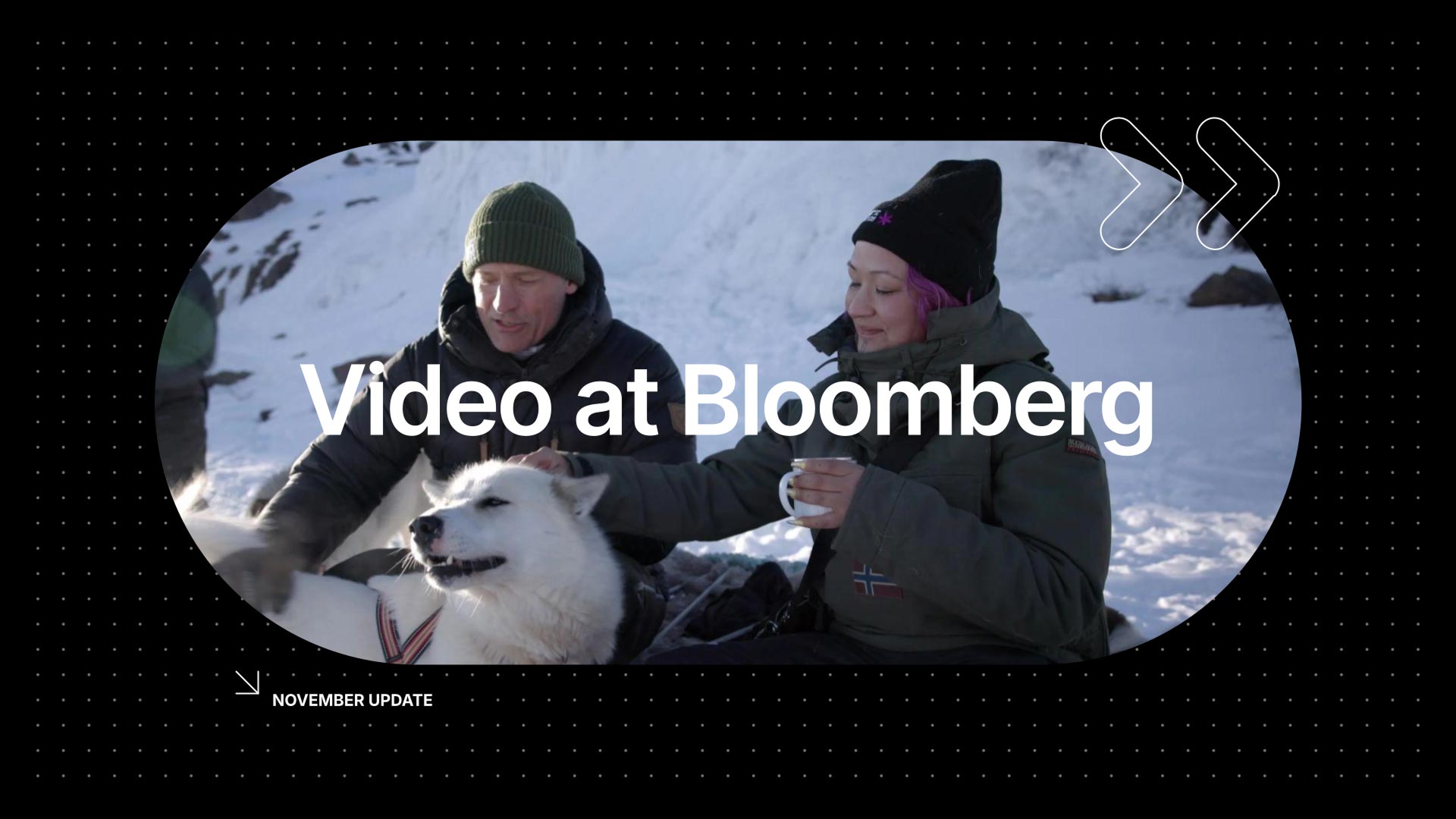 White text reads "Video at Bloomberg" and "NOVEMBER UPDATE" against a screenshot of a video of a man, woman, and dog.
