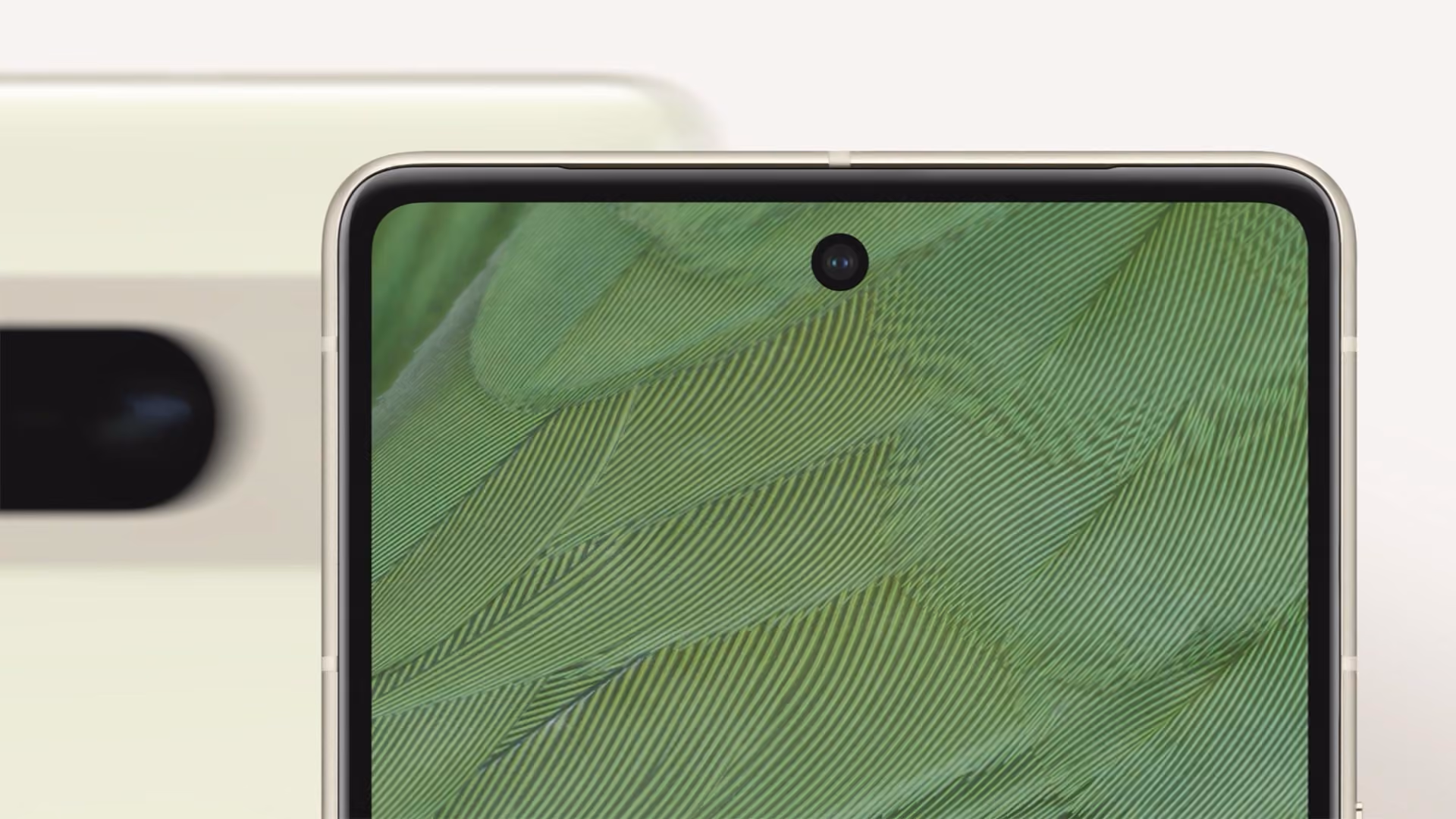 A close-up of a Pixel smartphone with a green botanical screen is shown against a cream background.