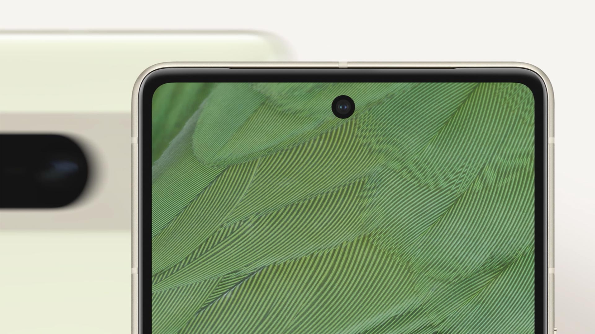 A close-up of a Pixel smartphone with a green botanical screen is shown against a cream background.