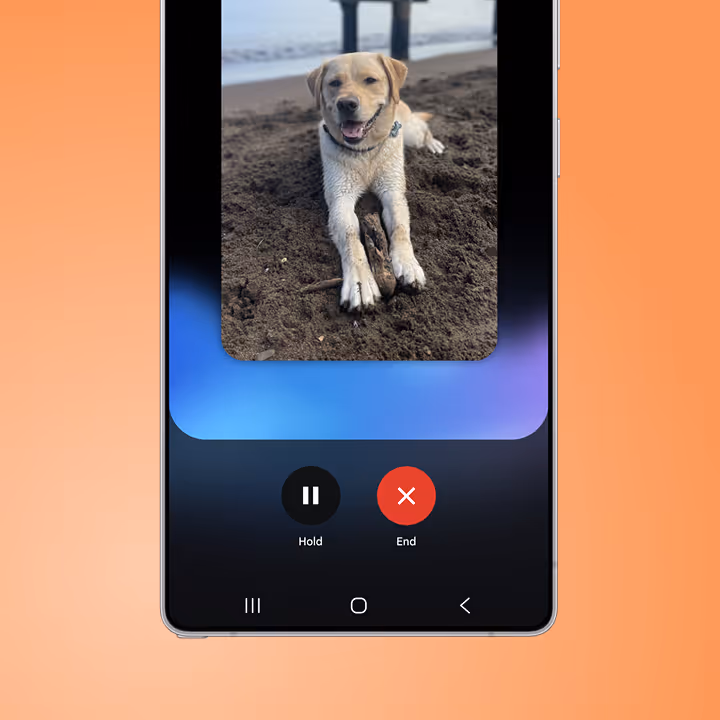 A Google Pixel phone screen displays a photo of a yellow Labrador Retriever laying in the sand at the beach. 