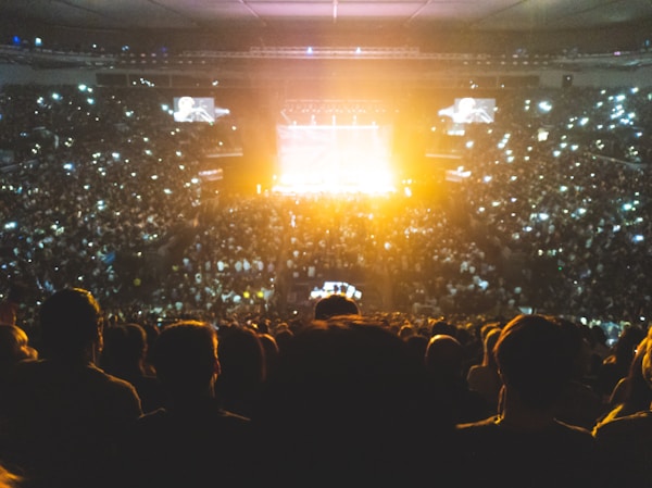 a crowd of people watching a concert at night