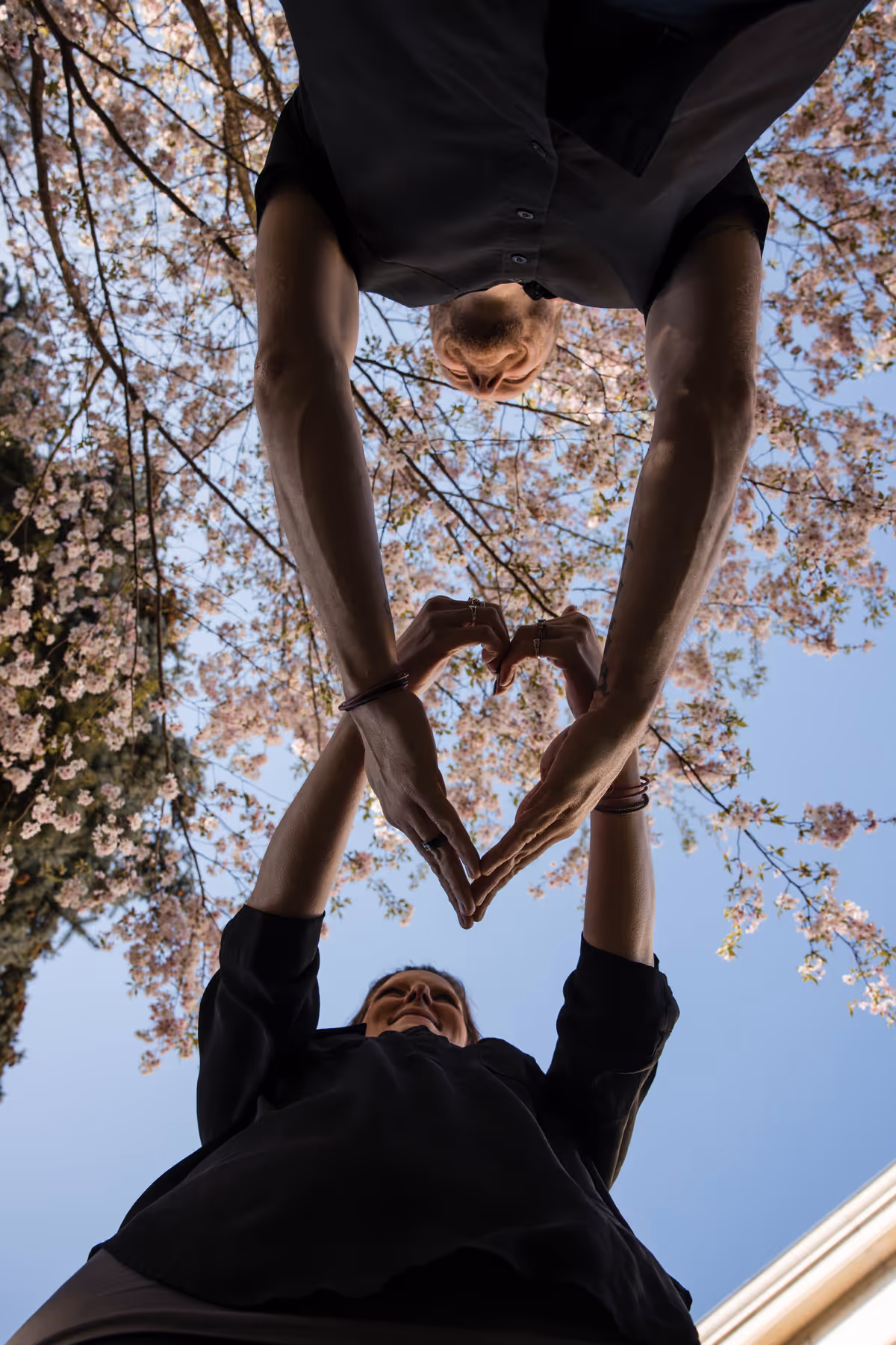 Two people standing beneath a blooming tree forming a heart shape with their hands against a clear sky.