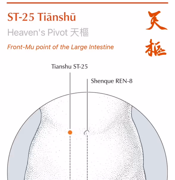 Acupressure point S25 Chinese medicine Heaven's Pivot