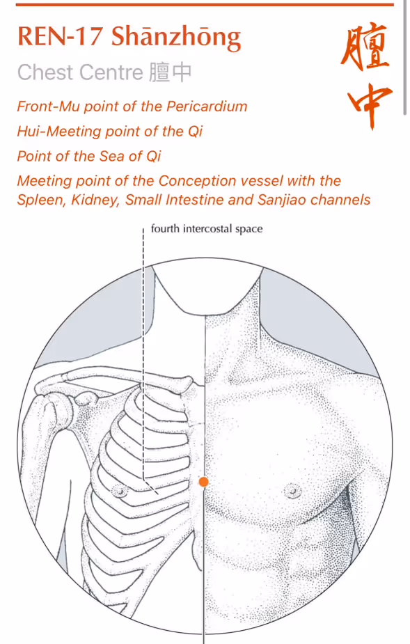 Acupressure point Ren17 Chest Centre