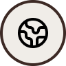 Globe icon
