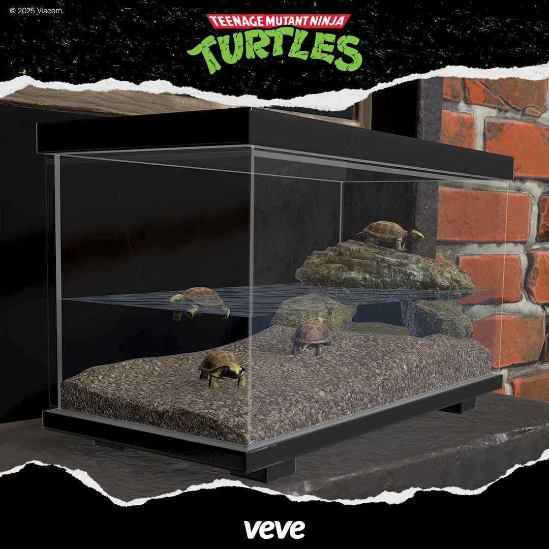 Teenage Mutant Ninja Turtles before the ooze, on VeVe Digital Collectibles. 