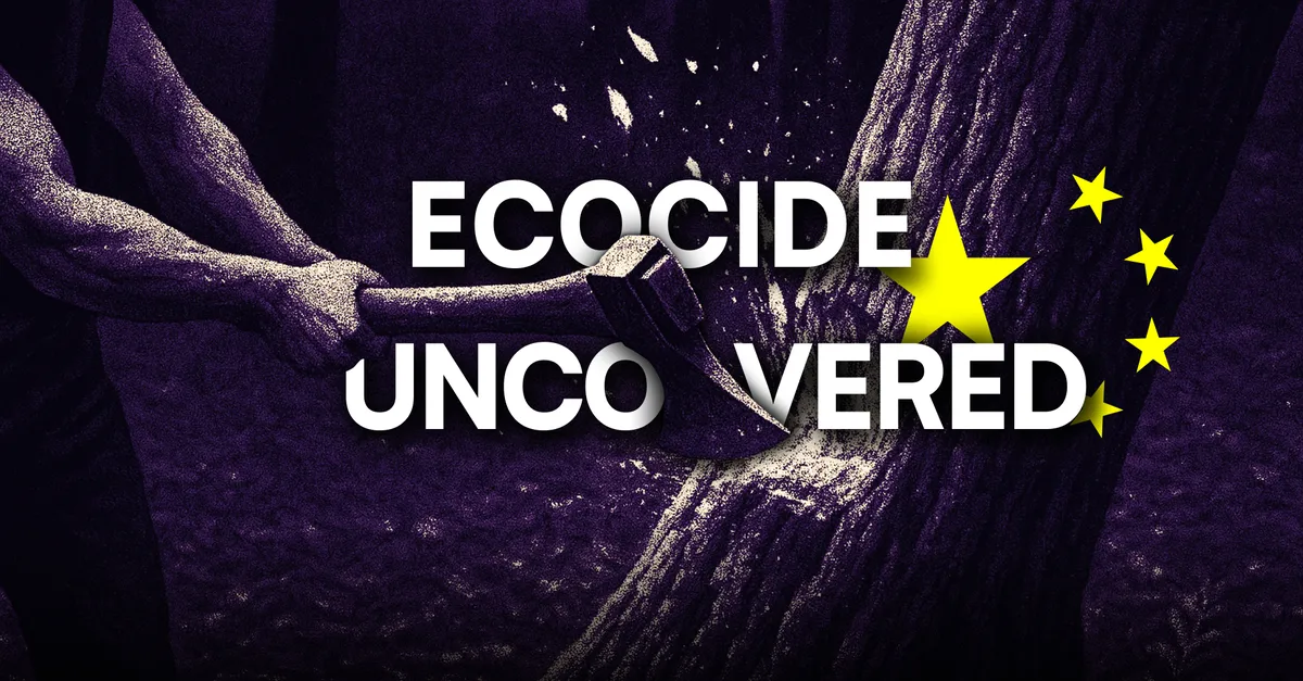 Blood-Red Wood: How EIA Maps China’s Ecocide with OSINT