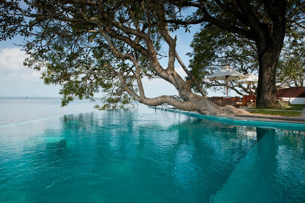 Scenic lakefront views and elegant accommodations at Ekho Lake House