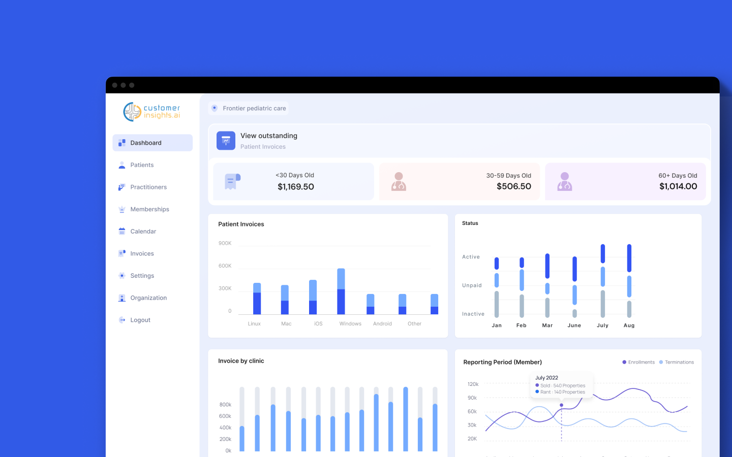 Customer Insights AI