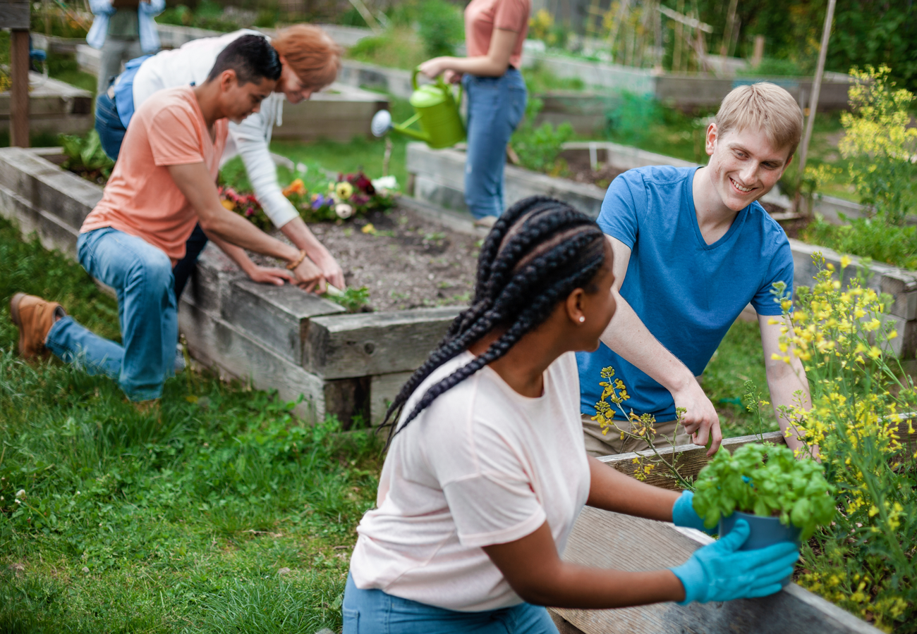 Volunteers planting in a community garden in Martinez