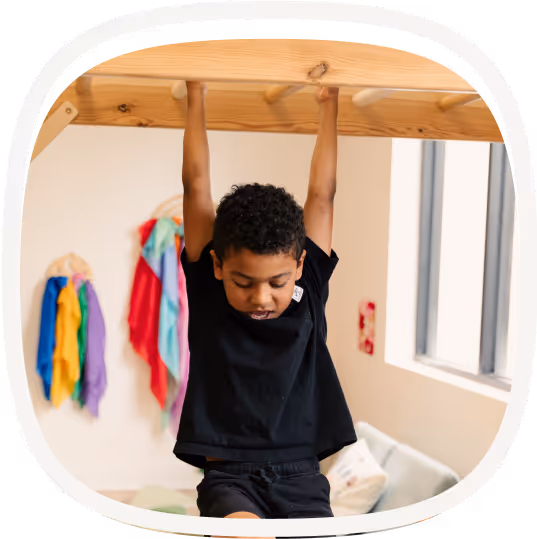 Occupational Therapy