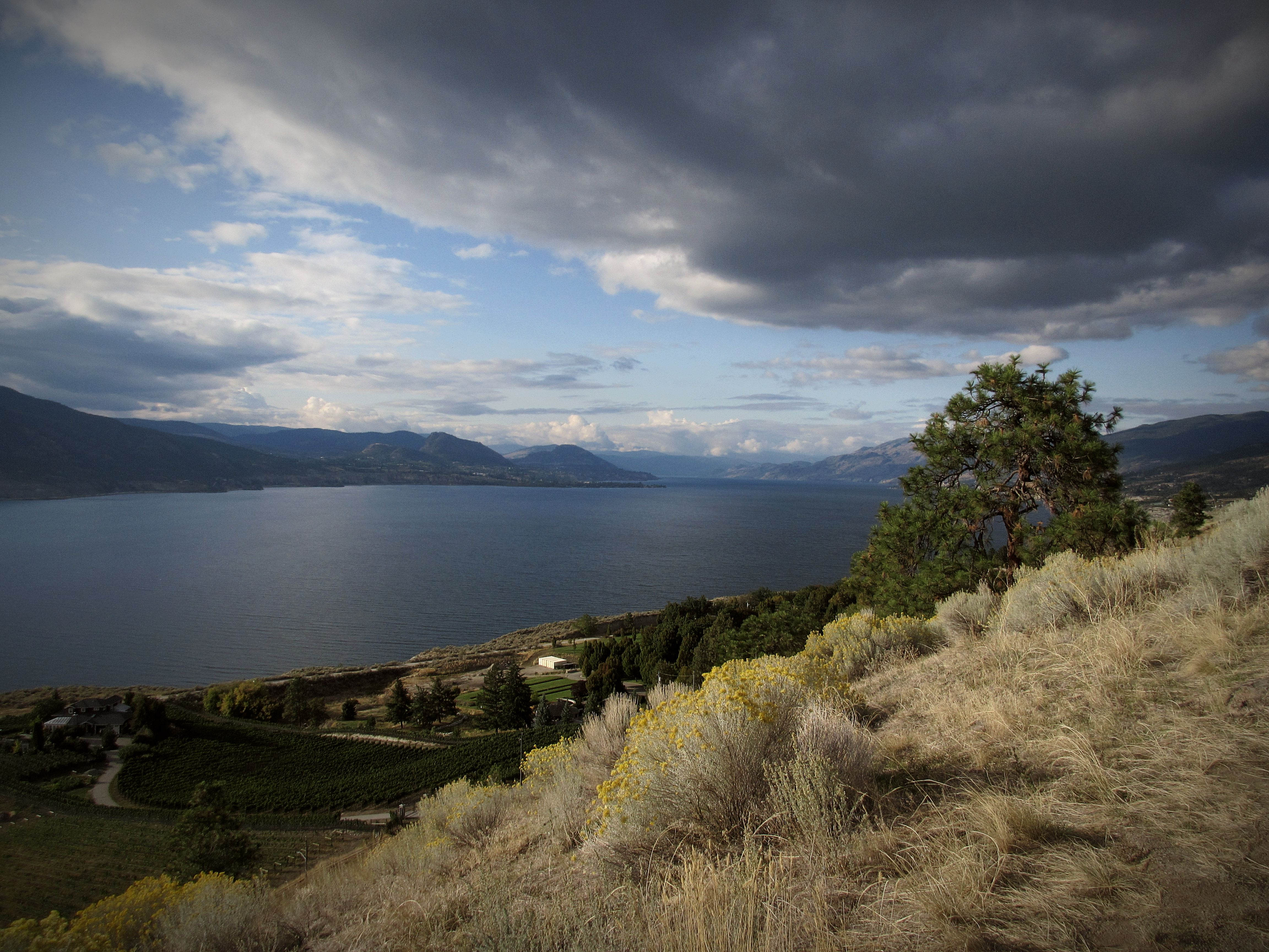 Lakeview Heights, West Kelowna: An Honest Look at the Okanagan's Wine-Country Neighbourhood