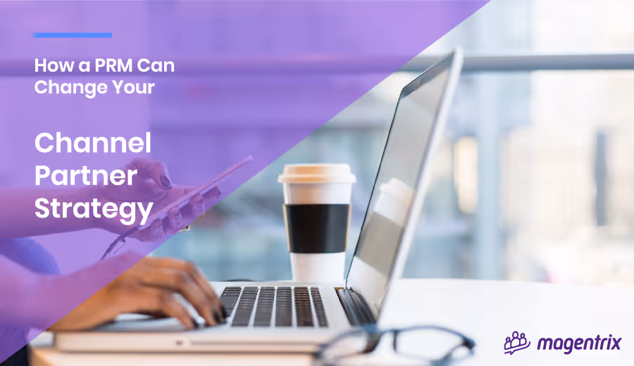 How a PRM Can Change Your Channel Partner Strategy (Partnernomics Podcast with Dr. Mark Brigman)