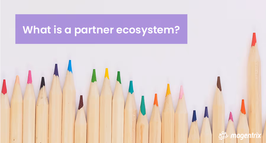What is a partner ecosystem