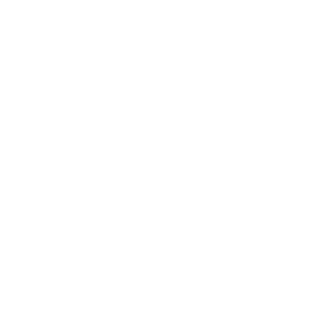 Icône du logo Instagram