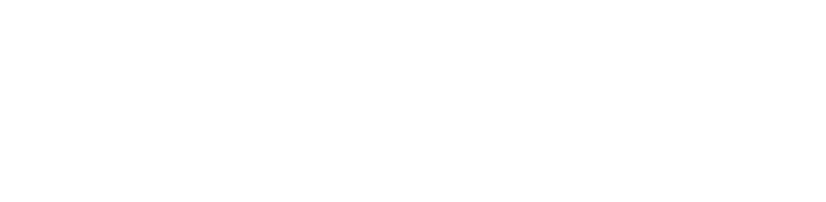logo B Braun
