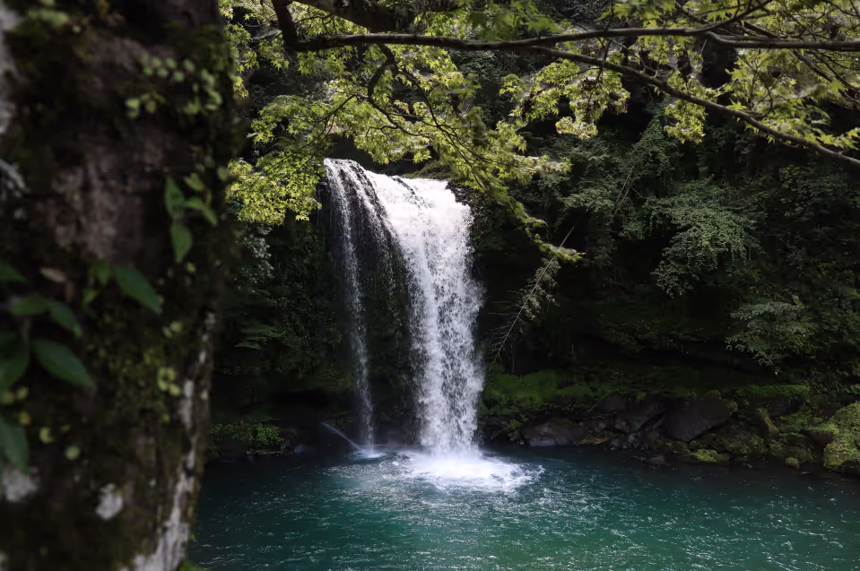 Activity Image