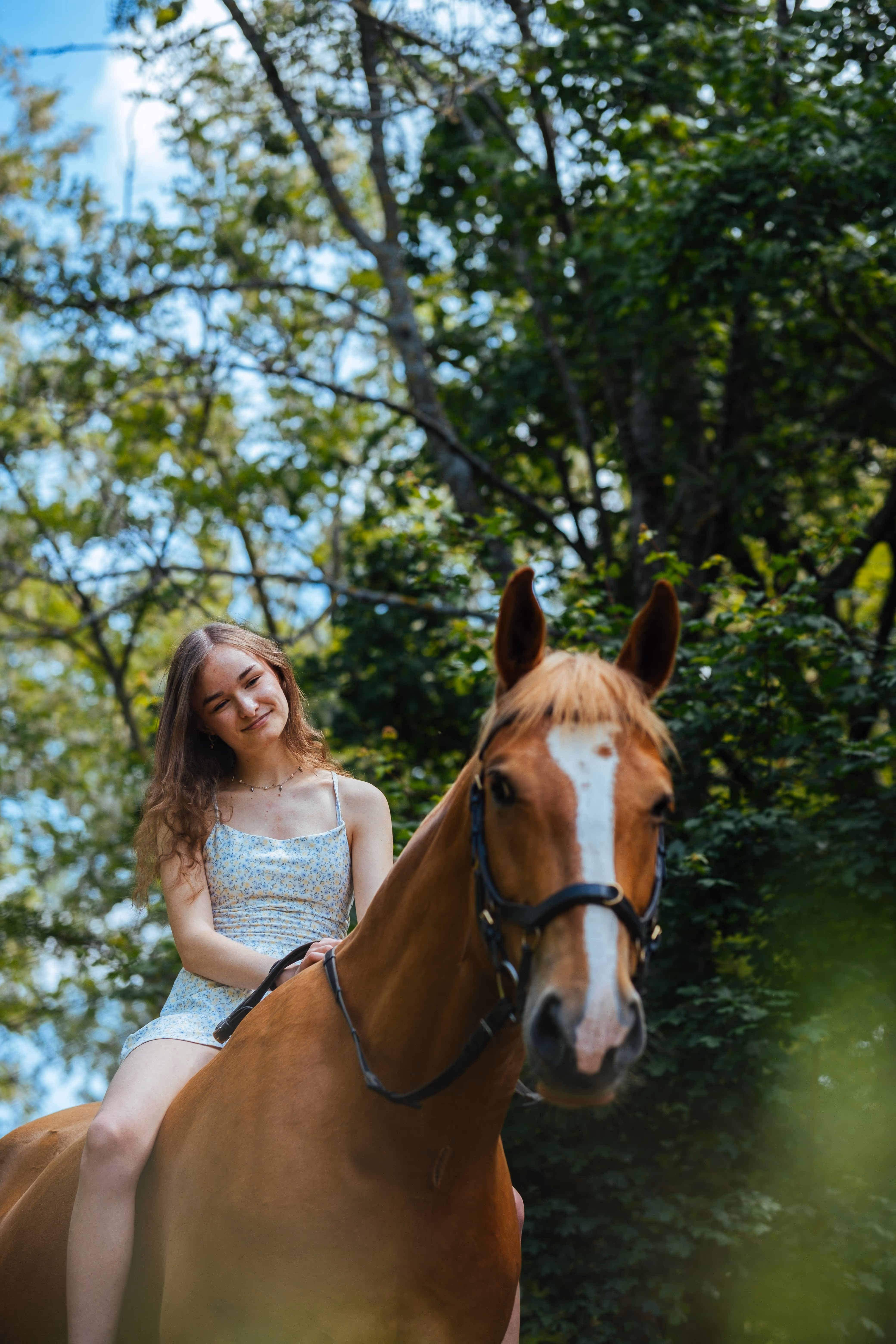 Portrait von Livia auf ihrem Pferd von unten
