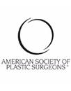 The Aesthetic Society